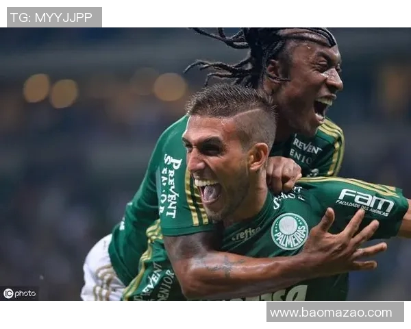 帕尔梅拉斯与阿瓦伊的精彩对决揭示巴西足球的激烈竞争与魅力